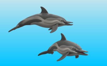 commondolphinrender