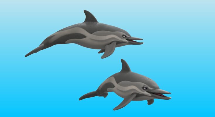 commondolphinrender