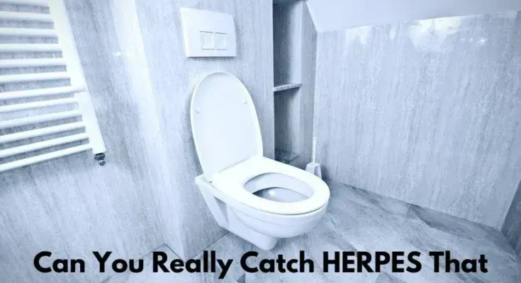 Can You get Herpes from a toilet seat.webp